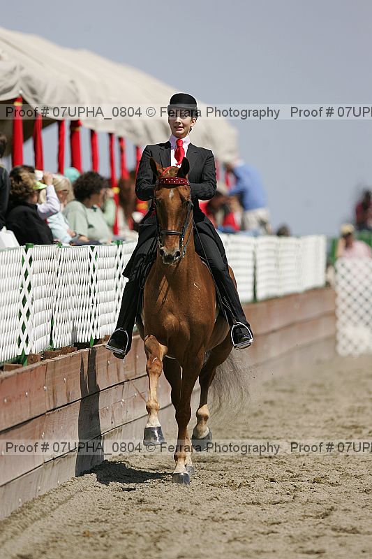 Proof Number 07upha_0804