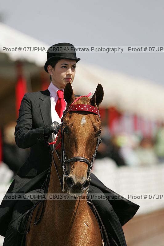 Proof Number 07upha_0806