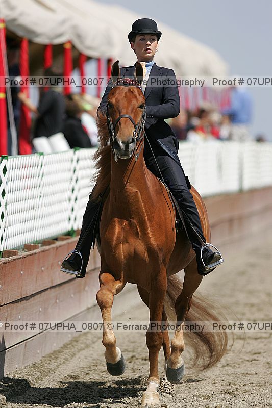 Proof Number 07upha_0807
