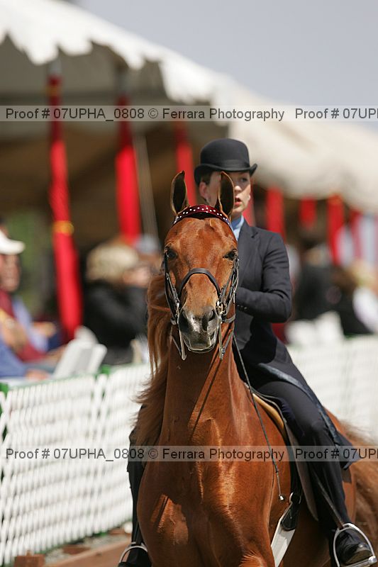 Proof Number 07upha_0808