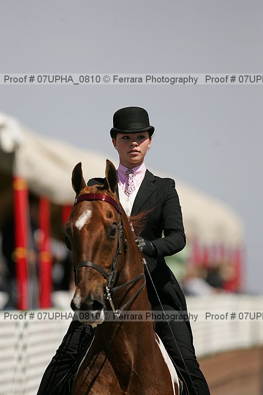 Proof Number 07upha_0810