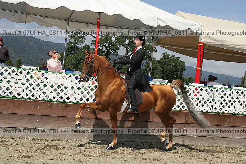 Proof Number 07upha_0811