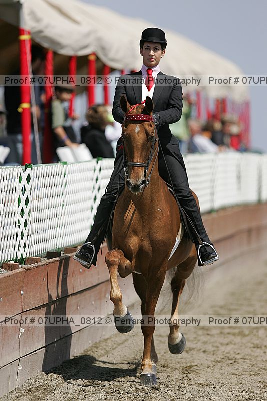 Proof Number 07upha_0812