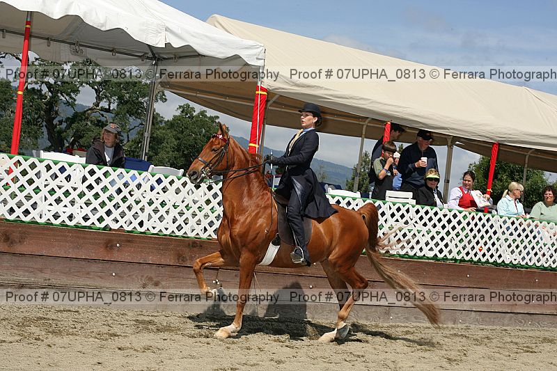 Proof Number 07upha_0813