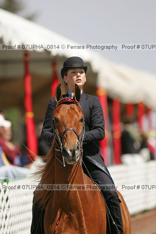 Proof Number 07upha_0814