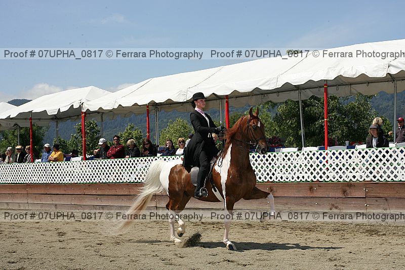 Proof Number 07upha_0817