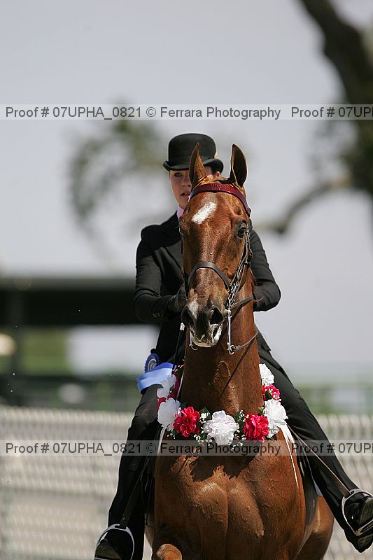 Proof Number 07upha_0821
