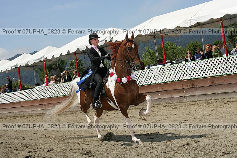 Proof Number 07upha_0823