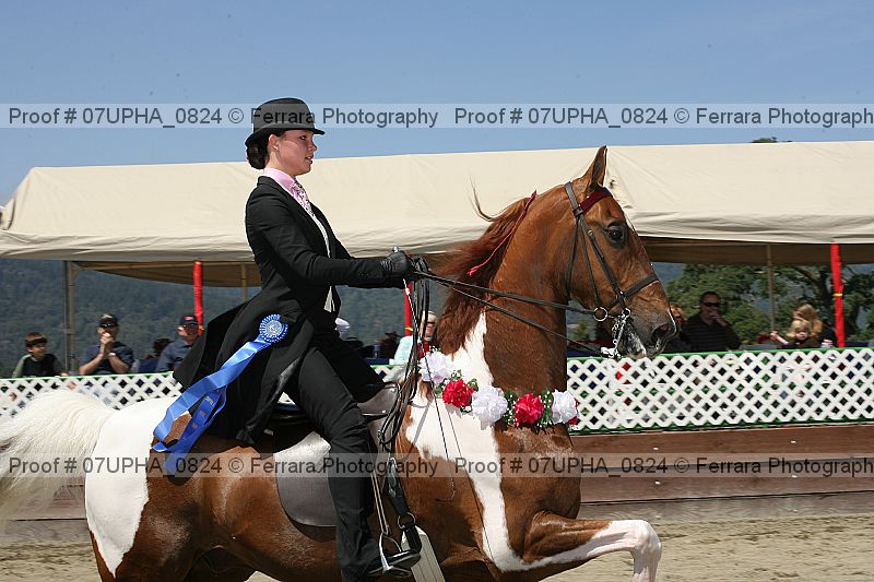 Proof Number 07upha_0824