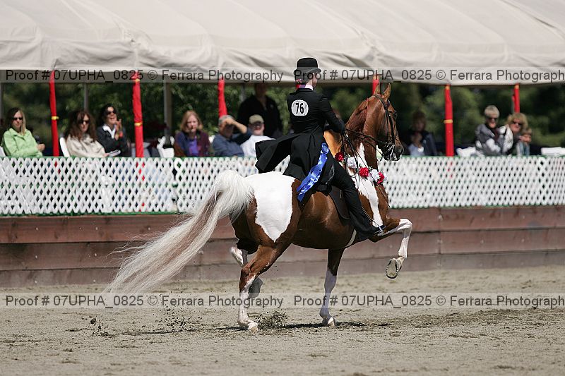 Proof Number 07upha_0825