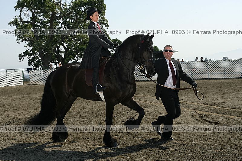 Proof Number 07upha_0993