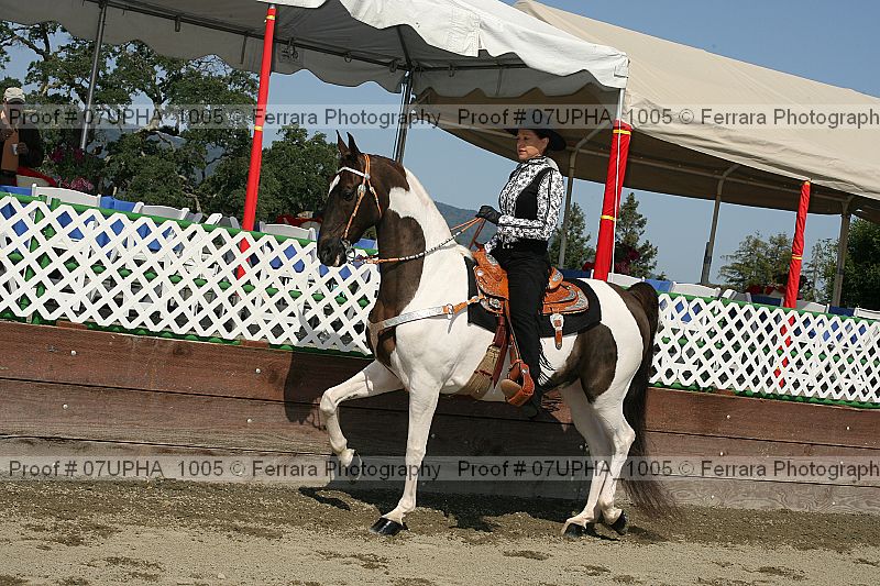Proof Number 07upha_1005