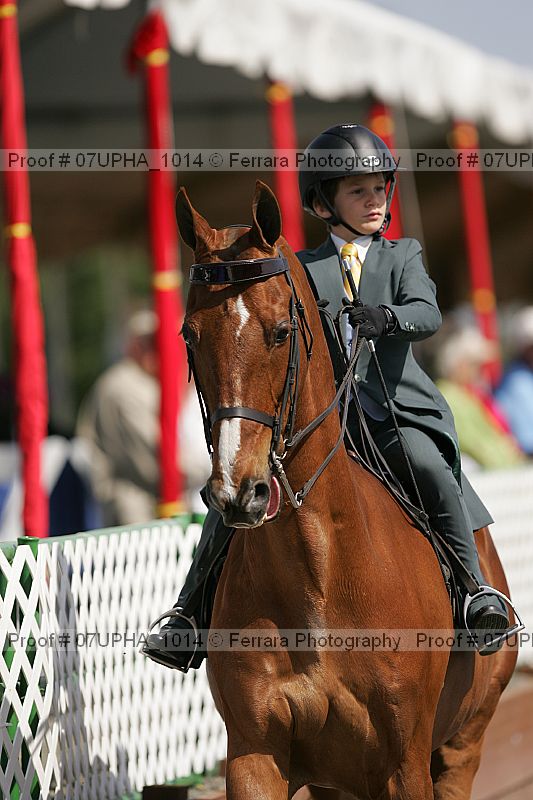 Proof Number 07upha_1014