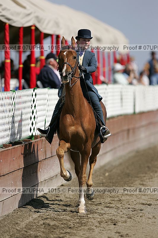 Proof Number 07upha_1015