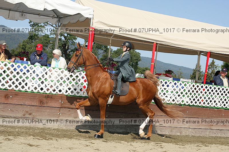 Proof Number 07upha_1017