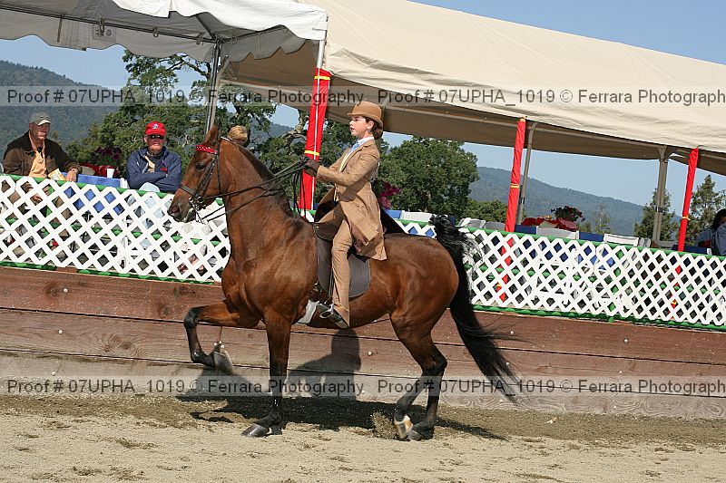 Proof Number 07upha_1019