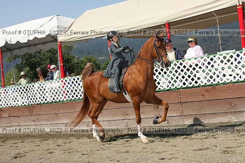 Proof Number 07upha_1022