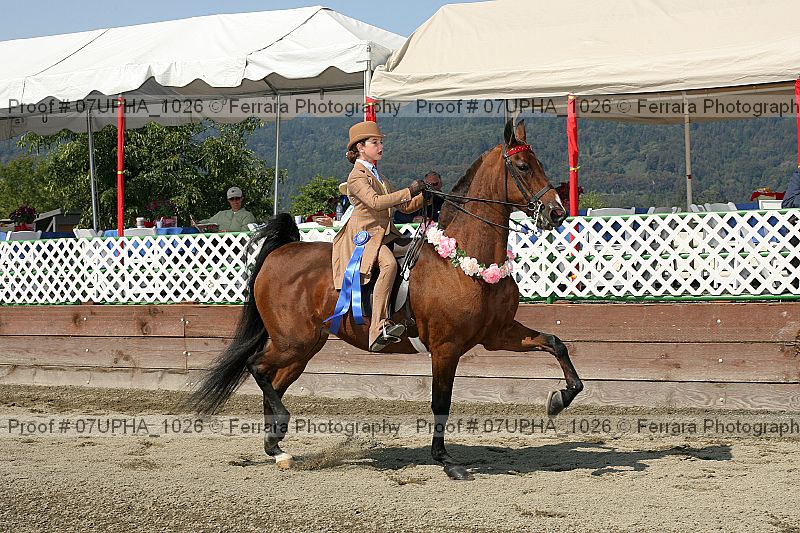 Proof Number 07upha_1026