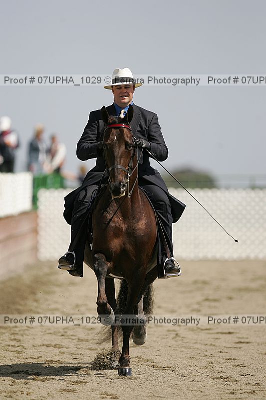 Proof Number 07upha_1029