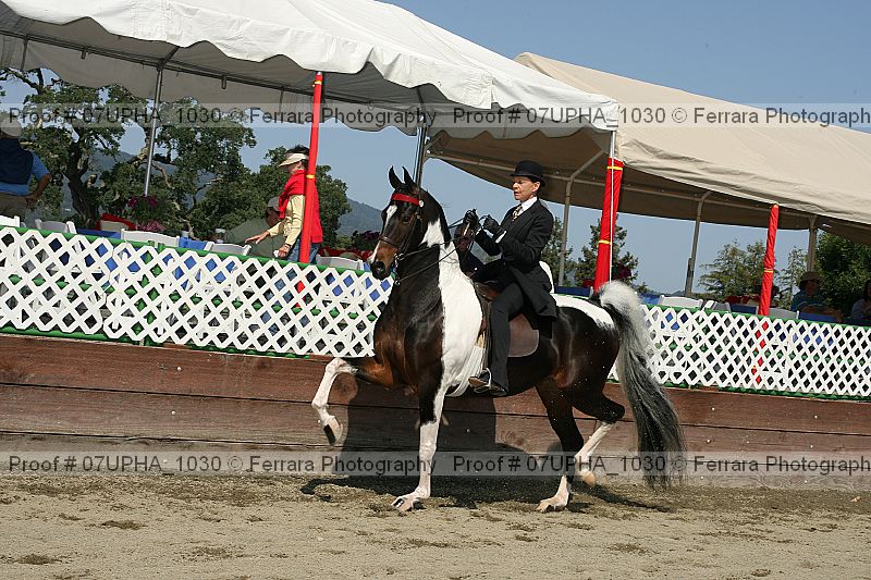 Proof Number 07upha_1030