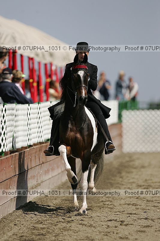 Proof Number 07upha_1031