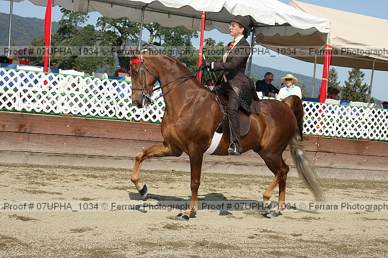 Proof Number 07upha_1034