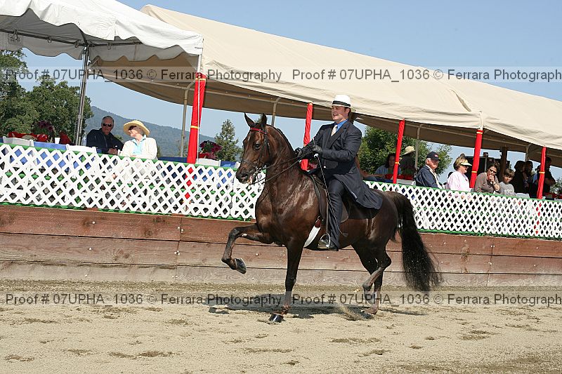 Proof Number 07upha_1036