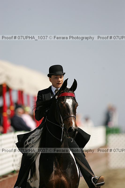 Proof Number 07upha_1037