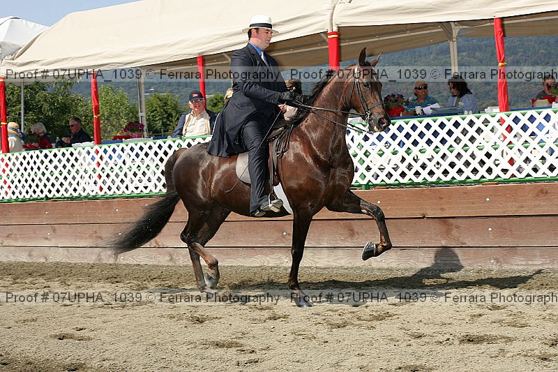 Proof Number 07upha_1039
