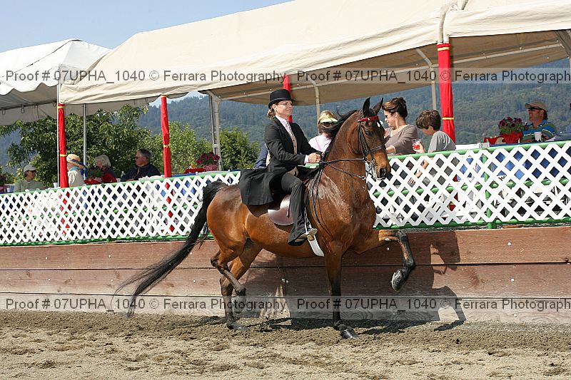 Proof Number 07upha_1040