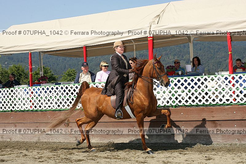 Proof Number 07upha_1042