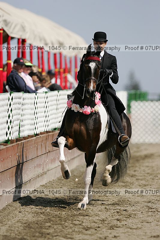 Proof Number 07upha_1045