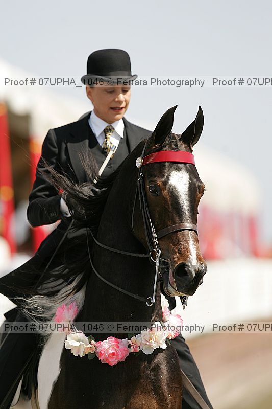 Proof Number 07upha_1046