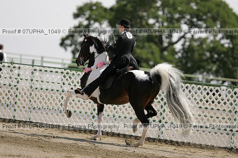Proof Number 07upha_1049
