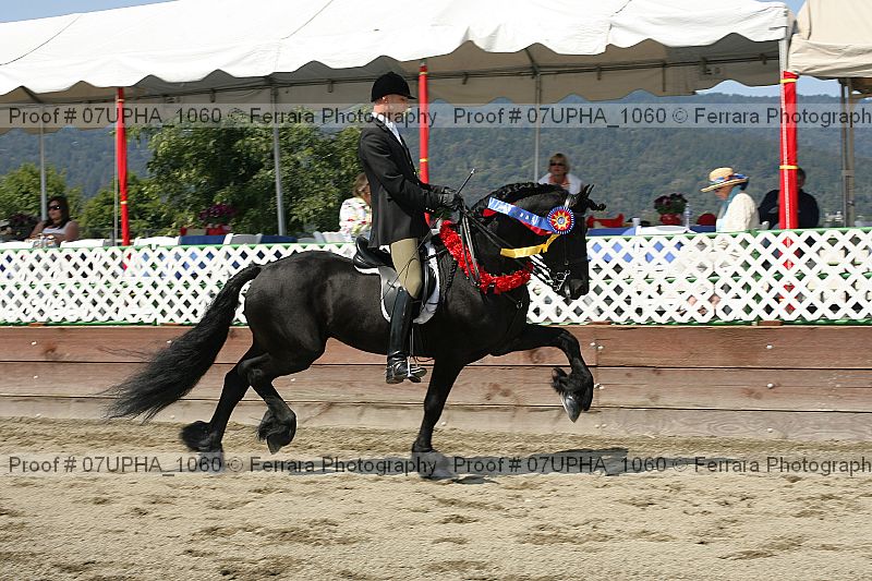Proof Number 07upha_1060