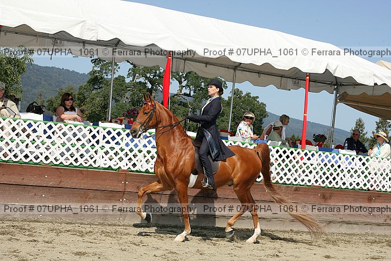 Proof Number 07upha_1061