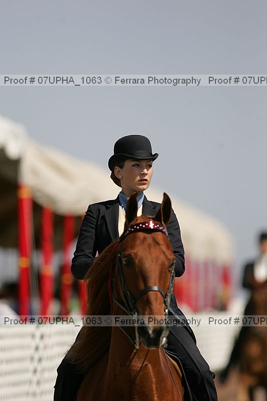 Proof Number 07upha_1063