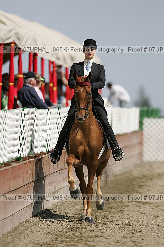 Proof Number 07upha_1065