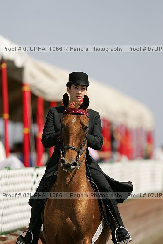 Proof Number 07upha_1066