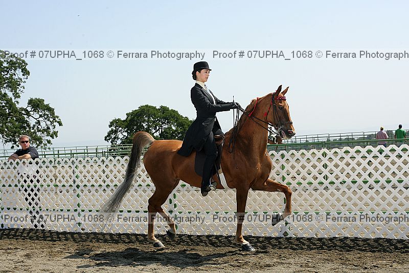 Proof Number 07upha_1068