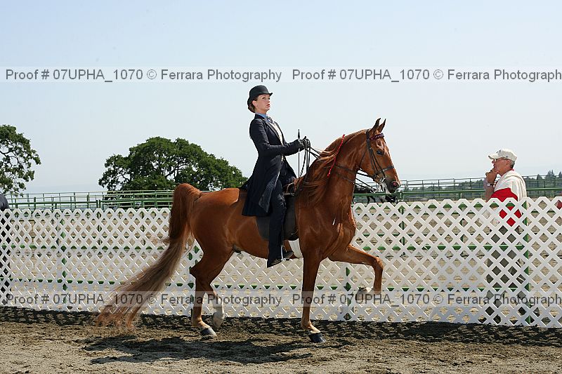 Proof Number 07upha_1070