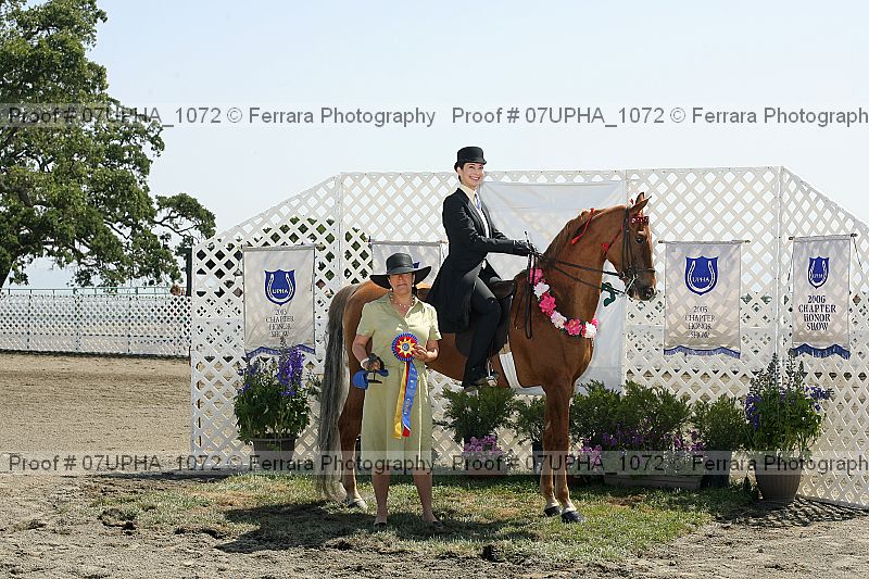 Proof Number 07upha_1072