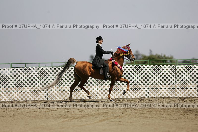 Proof Number 07upha_1074