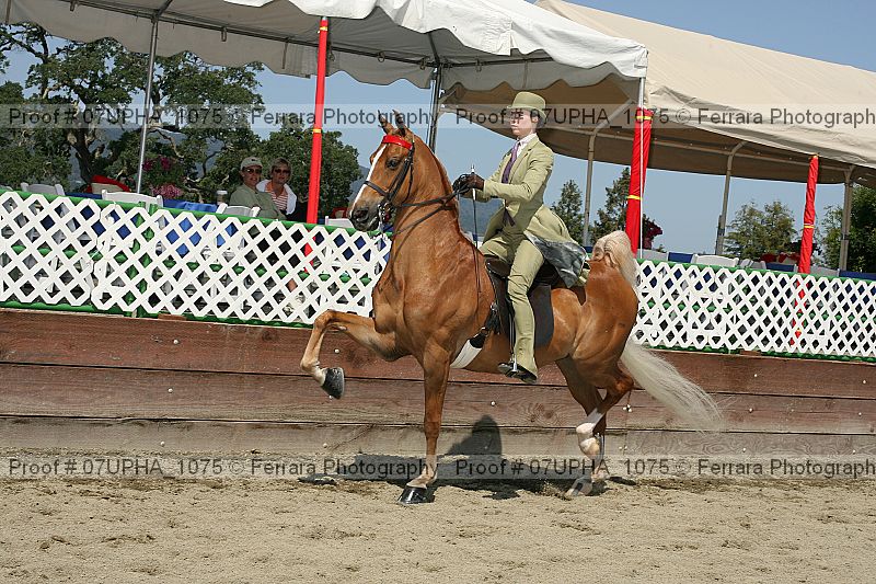 Proof Number 07upha_1075