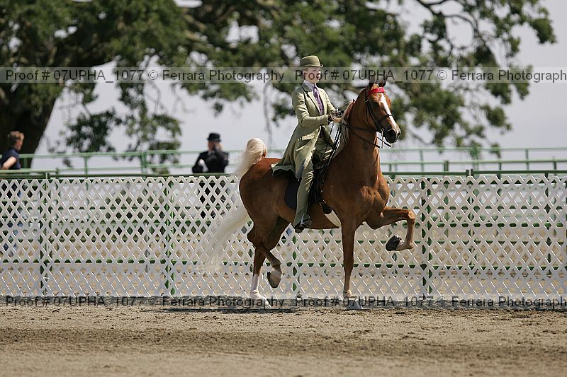 Proof Number 07upha_1077
