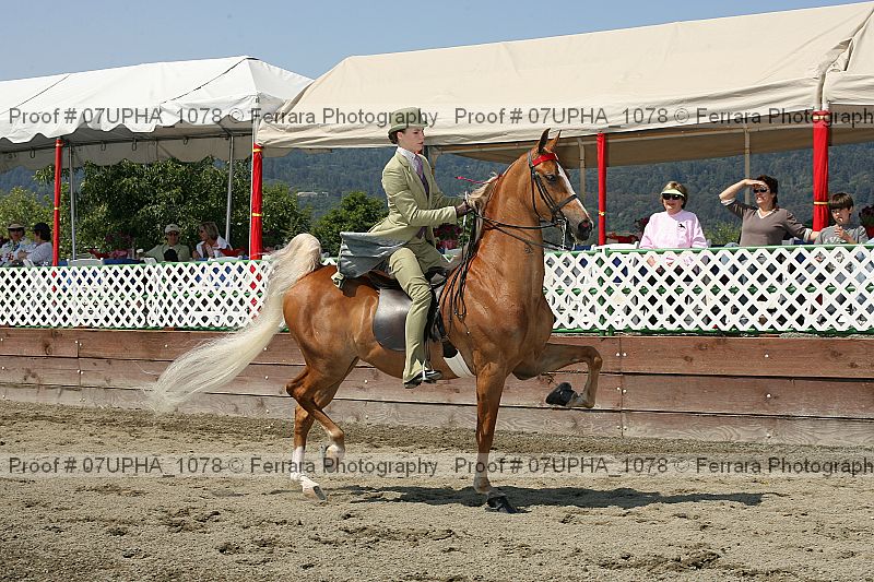 Proof Number 07upha_1078