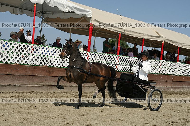 Proof Number 07upha_1083