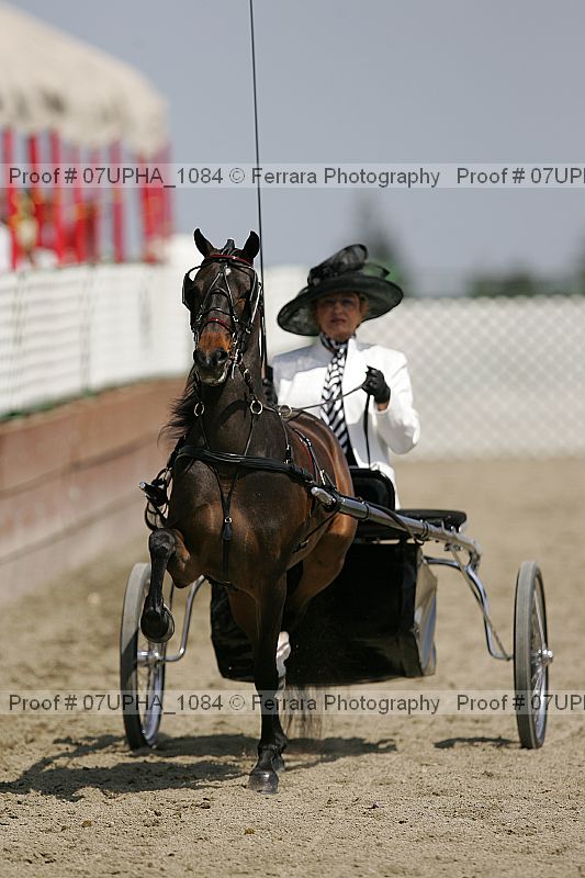 Proof Number 07upha_1084