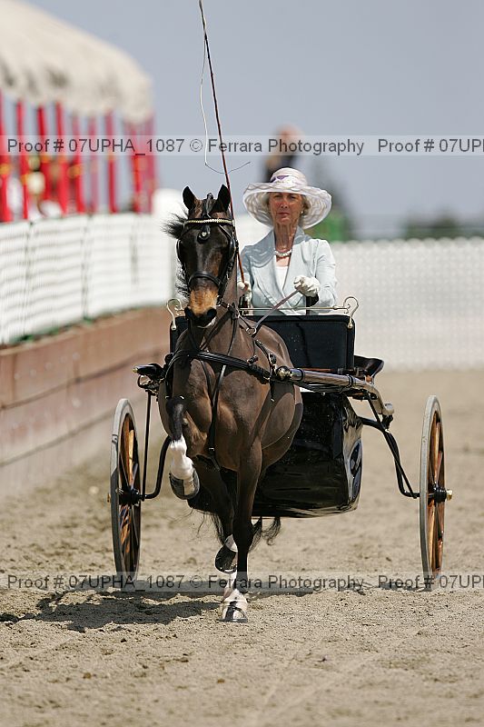 Proof Number 07upha_1087