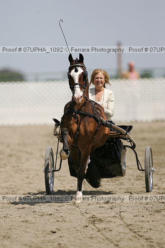 Proof Number 07upha_1092